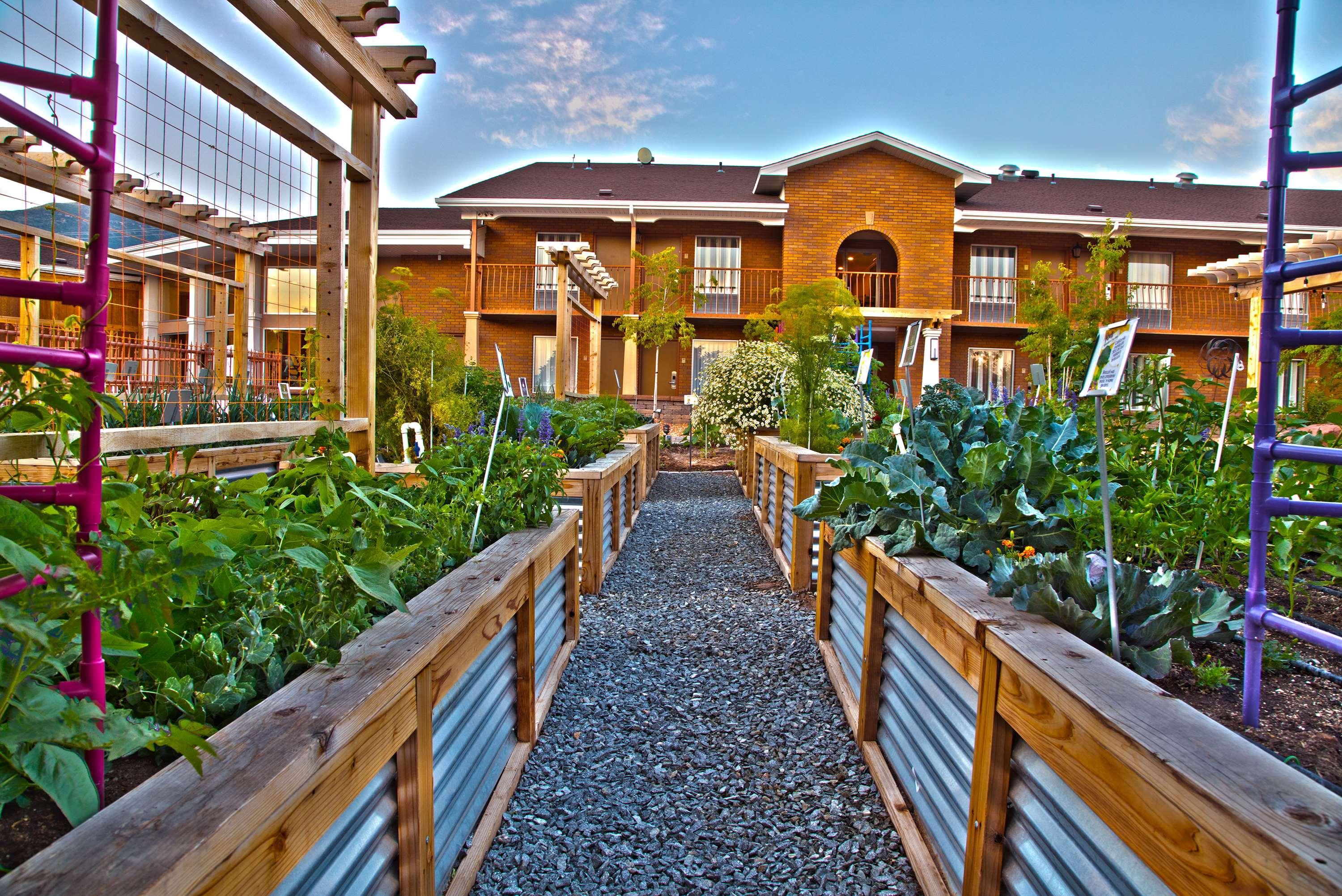 Best Western Plus Cedar City Exteriér fotografie