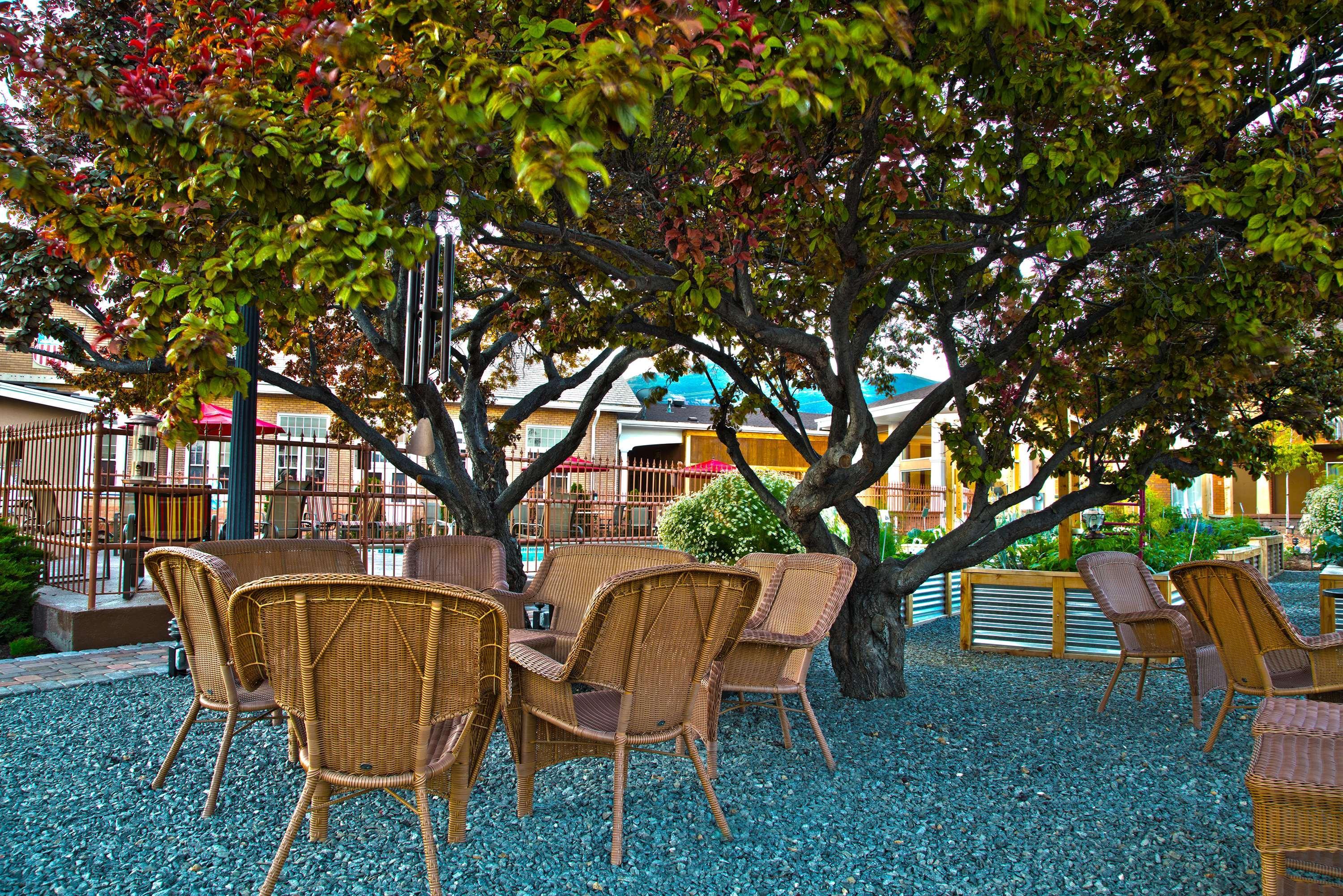 Best Western Plus Cedar City Exteriér fotografie